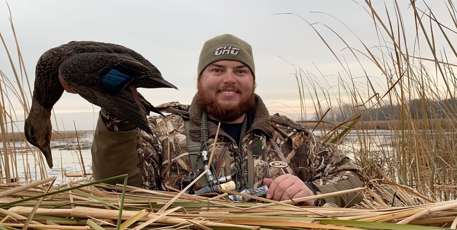 American Black Duck (Anas rubripes) harvested on a Lake Erie waterfowl hunt