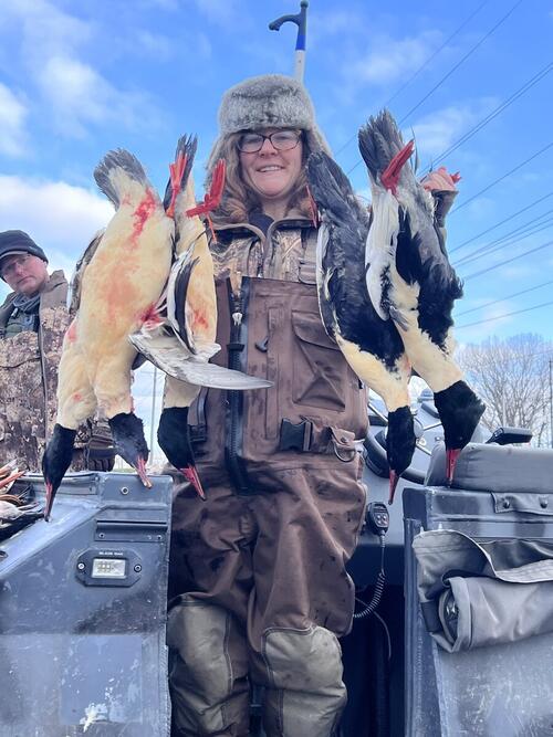 Common Merganser drake (Mergus merganser) - Hunt 41 collector target species