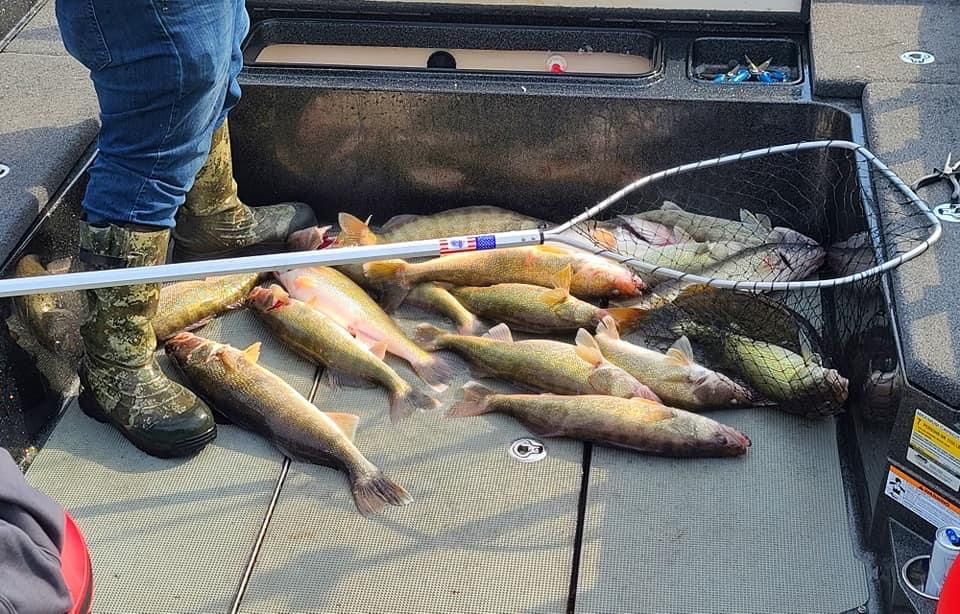 Lake Erie walleye on jet diver